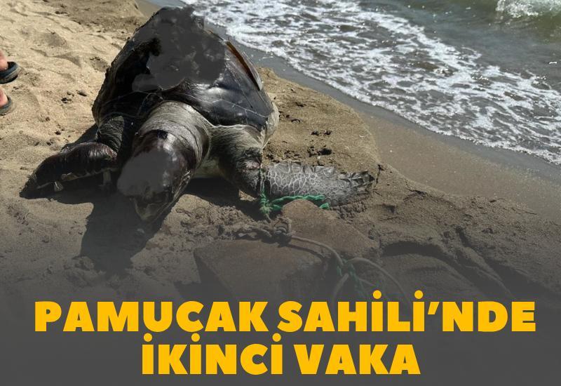 Pamucak Sahili’nde ikinci vaka