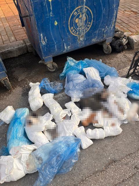 33 ölümlü vahşette yeni gelişme