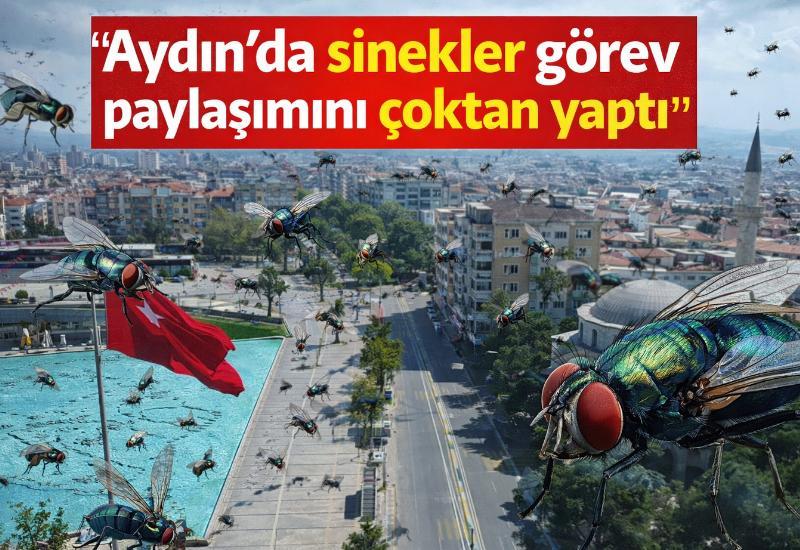 "Aydın’da sinekler görev paylaşımını çoktan yaptı”