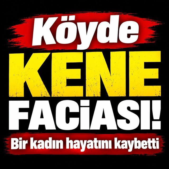 Kene ısırması sonucu rahatsızlanan kadın hayatını kaybetti