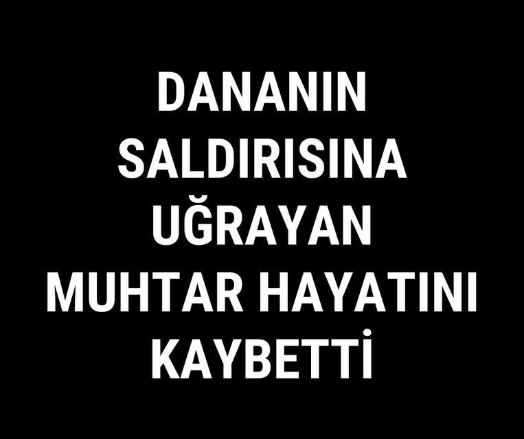 Dananın saldırısına uğrayan muhtar hayatını kaybetti