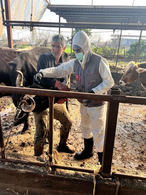 Efeler’de 15 bin hayvana şap aşısı yapıldı