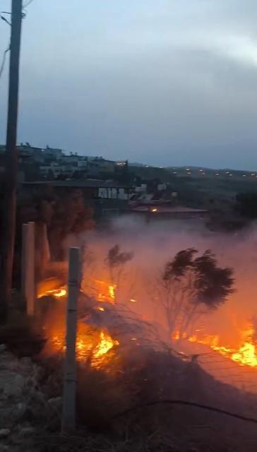 Otluk alanda yangın