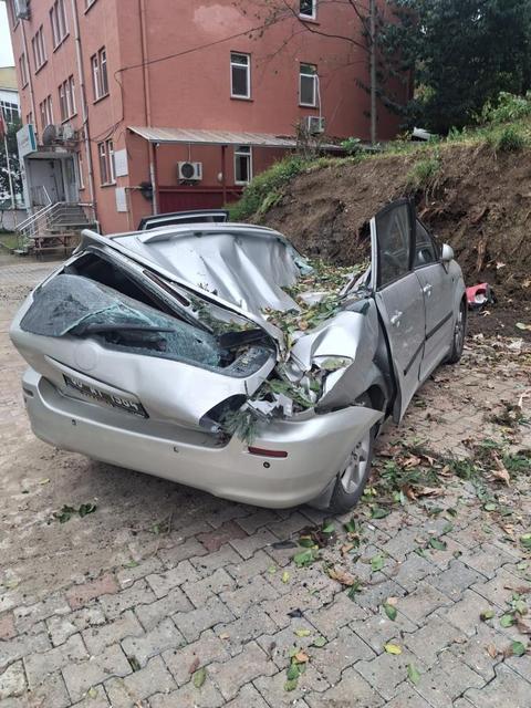 Devrilen ağaç bir aracı kullanılamaz hale getirdi