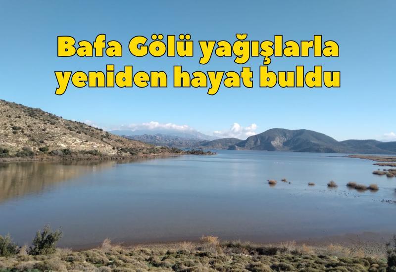 Bafa Gölü yağışlarla yeniden hayat buldu