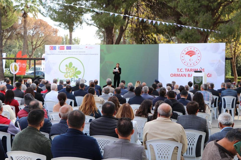 Aydın İnciri için yeni proje hayata geçirildi