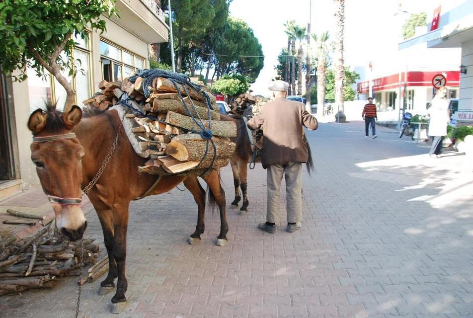 Aydın'da geleneksel kış hazırlıkları başladı