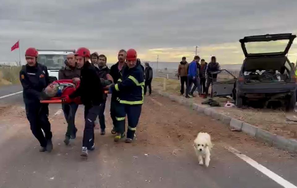 TAKLA ATAN OTOMOBİLİN SÜRÜCÜSÜ YARALANDI, ANNESİ HAYATINI KAYBETTİ AİLENİN ARAÇTA BULUNAN KÖPEĞİ İSE YARALILARIN YANINDAN AYRILMADI