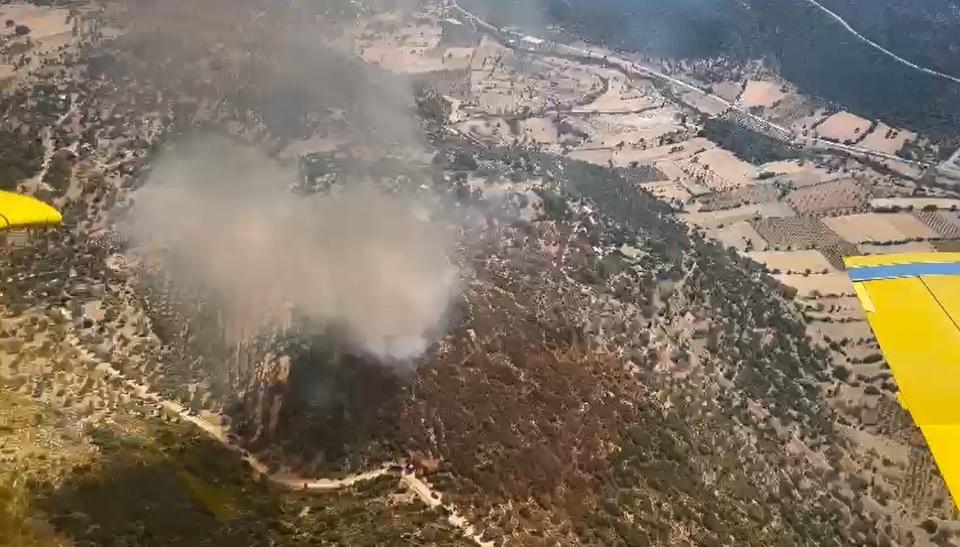 Seydikemer'de orman yangını