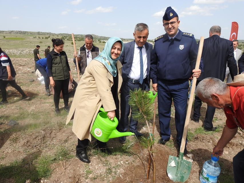 KÜTAHYA'DA AİLE HAFTASINDA AİLE ORMANI TESİS EDİLDİ