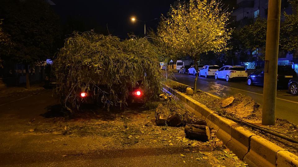 DEVRİLEN AĞAÇ YOLU TRAFİĞE KAPATTI