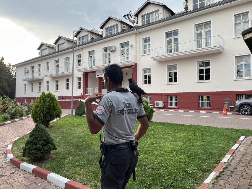 BU KARGA HER GÜN MESAİ YAPIYOR SİVAS SAĞLIK İL MÜDÜRLÜĞÜNÜN MASKOTU HALİNE GELEN KARGA, KURUMA PERSONELLE GELİP PERSONELLE AYRILIYOR