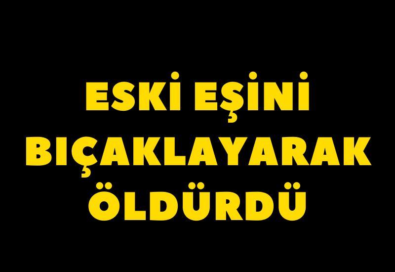 Eski eşini bıçaklayarak öldürdü