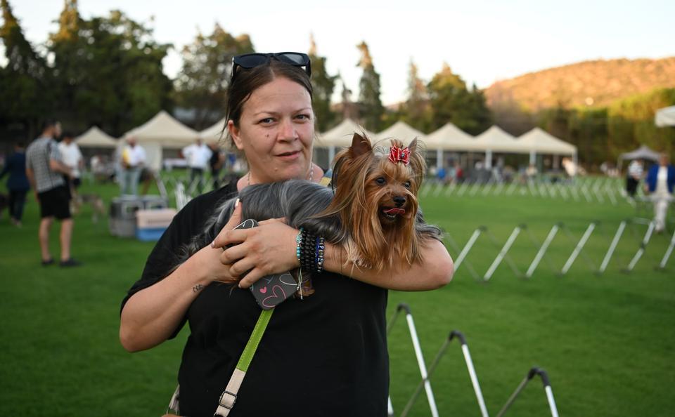 YARIŞMAYA KATILAN KÖPEKLER DİKKAT ÇEKTİ DURUŞLARI, YÜRÜYÜŞLERİ VE SÜSLERİYLE GÖRENLERİ KENDİLERİNE HAYRAN BIRAKTILAR