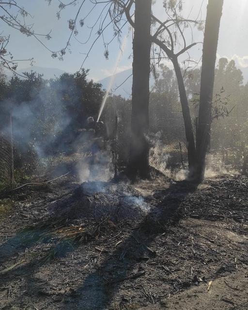 ARSUZ'DA ÇIKAN OTLUK YANGININI İTFAİYE SÖNDÜRDÜ