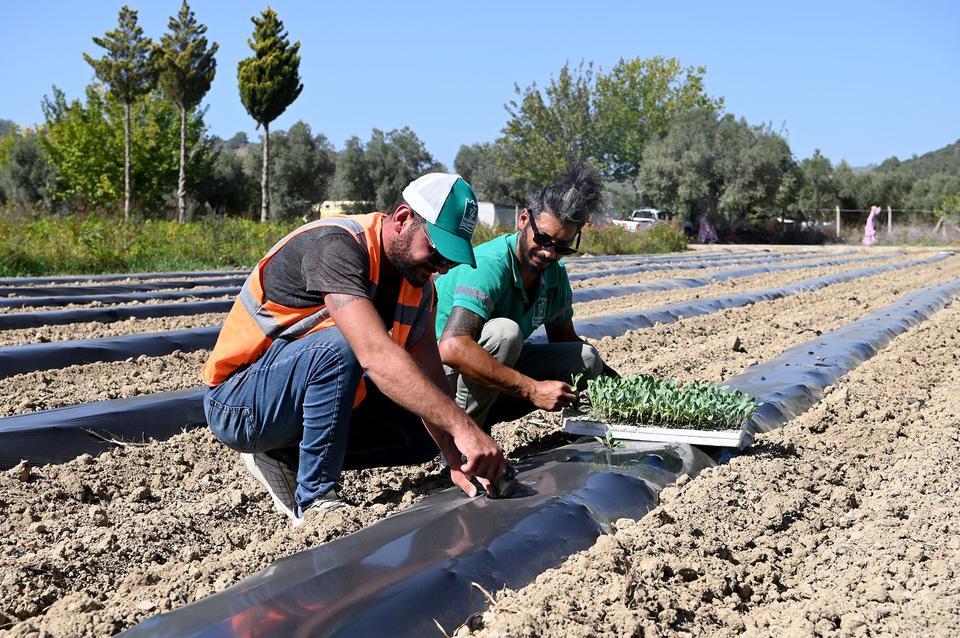 ADABAHÇE BU KIŞ DA SOFRALARA LEZZET VE BEREKET KATACAK