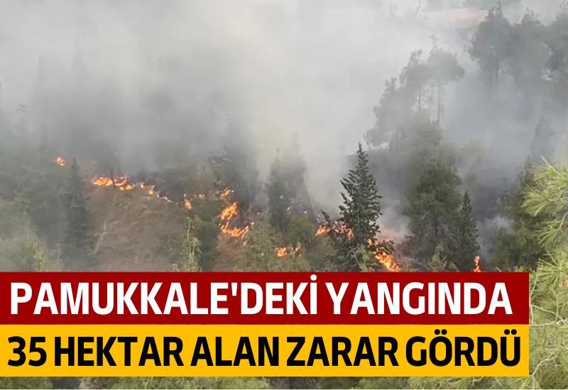 Pamukkale'deki yangında 35 hektar alan zarar gördü