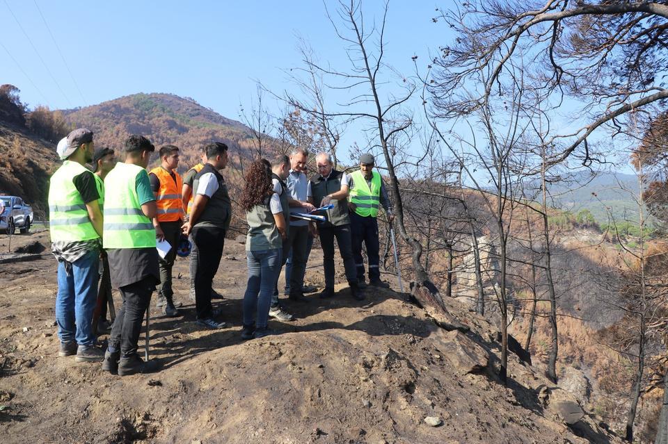 Bozdoğan’da yanan ormanlık alanda incelemelerde bulunuldu