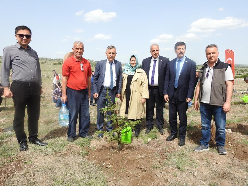 KÜTAHYA'DA AİLE HAFTASINDA AİLE ORMANI TESİS EDİLDİ