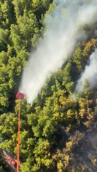 Manavgat'taki orman yangını kontrol altına alındı