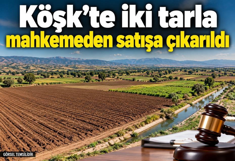 Köşk’te iki tarla mahkemeden satışa çıkarıldı