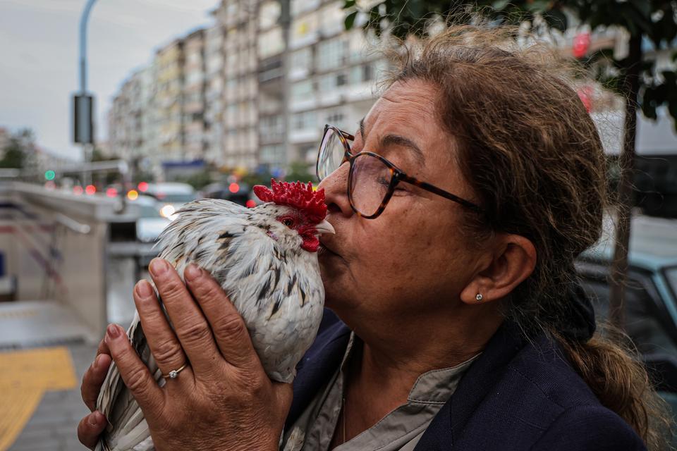 İZMİR SOKAKLARINI OMUZUNDA 'HOROZ BIDIK' İLE KARIŞ KARIŞ GEZİYOR