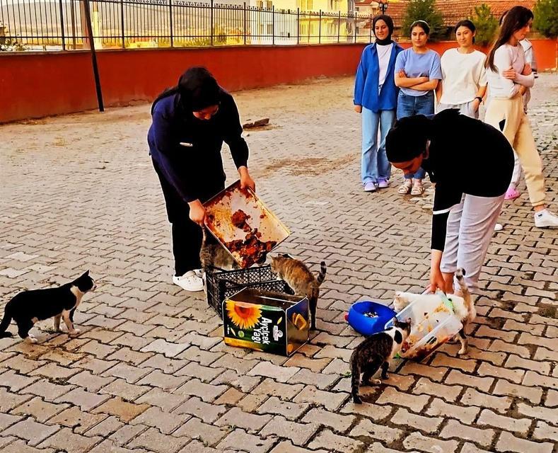 HİSARCIK'TA YURT ÖĞRENCİLERİ ARTAN YEMEKLERLE KEDİLERİ BESLEDİ