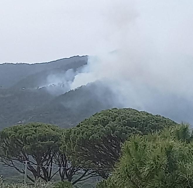 Bozdoğan’da orman yangını