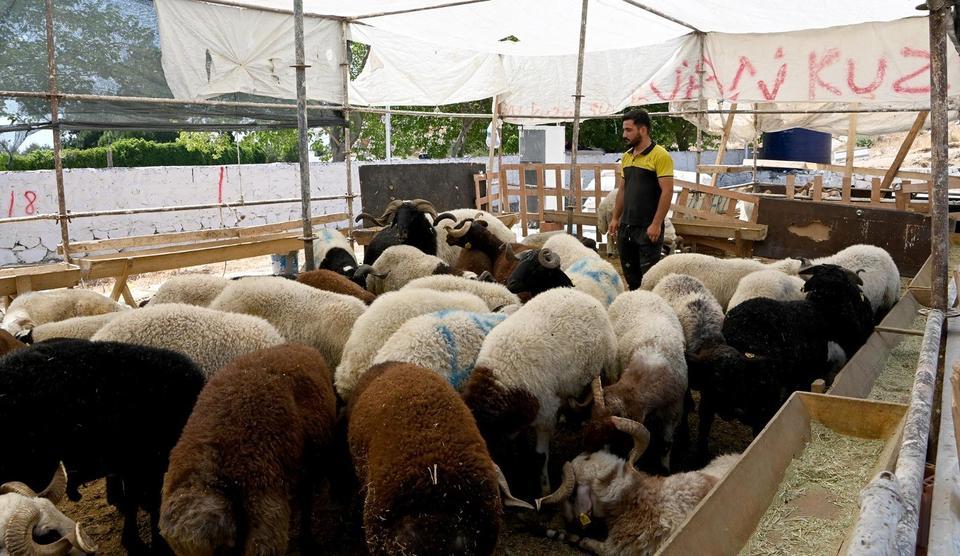 KUŞADASI BELEDİYESİ KURBAN BAYRAMI'NA HAZIR