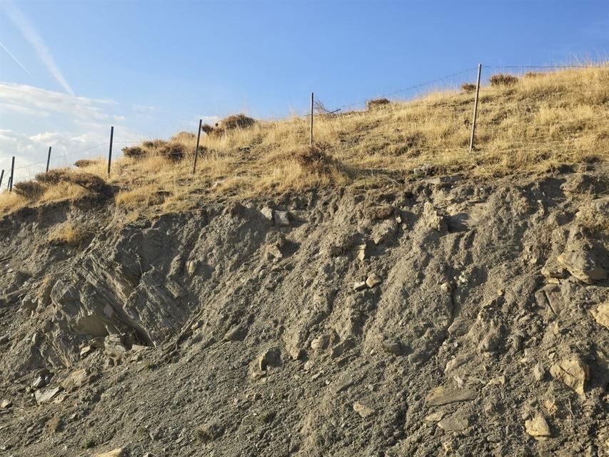 Sason’da bal ormanı oluşturuldu