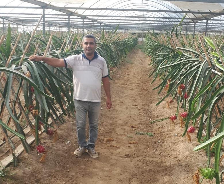 KÜRESEL ISINMA AYDIN'DA FIRSATA DÖNÜŞÜYOR KAYMAKAM GİTTİ PROJESİ TÜM İLE YAYILMAYA BAŞLADI