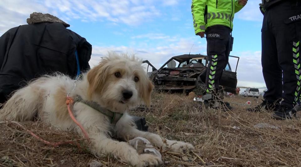 TAKLA ATAN OTOMOBİLİN SÜRÜCÜSÜ YARALANDI, ANNESİ HAYATINI KAYBETTİ AİLENİN ARAÇTA BULUNAN KÖPEĞİ İSE YARALILARIN YANINDAN AYRILMADI