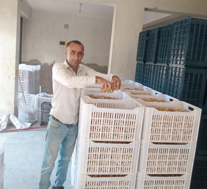 Caner Gülen vefat etti