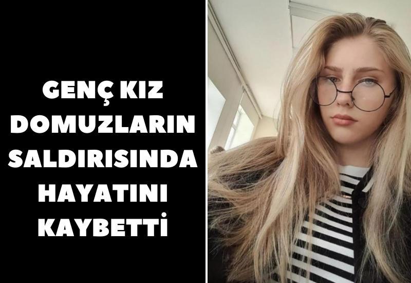 Genç kız domuzların saldırısında hayatını kaybetti