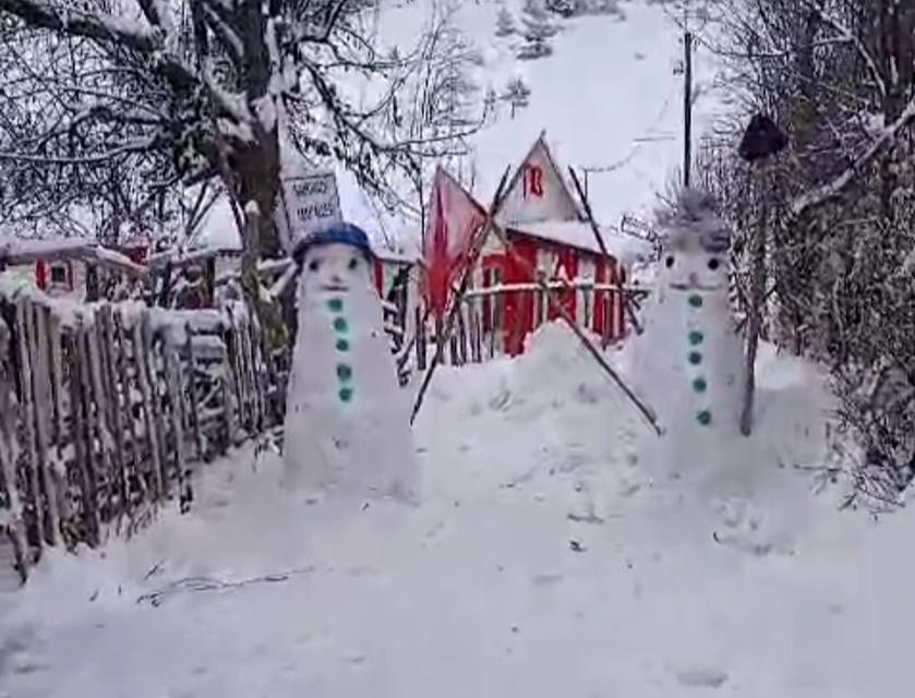 TEK BAŞINA YAŞADIĞI KÖYDE KARDAN ORDU KURDU