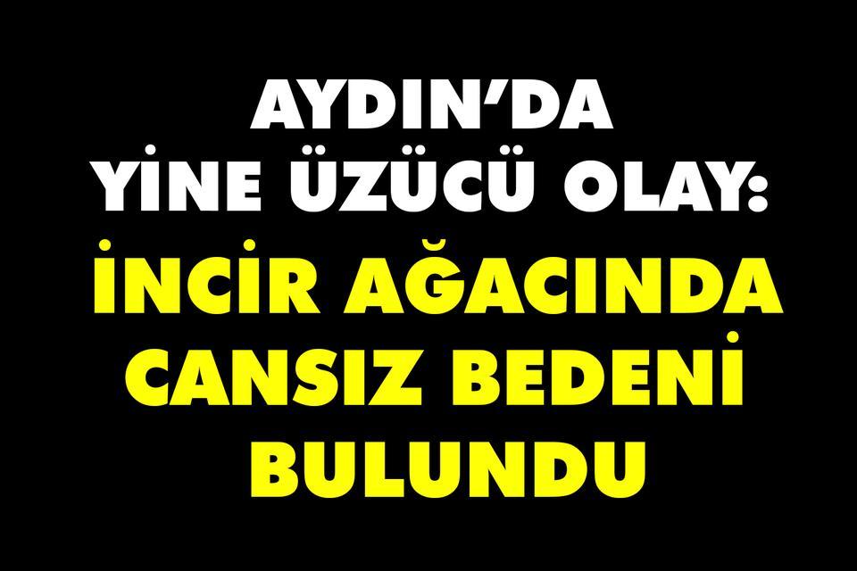 Aydın’da yine üzücü olay: İncir ağacında cansız bedeni bulundu