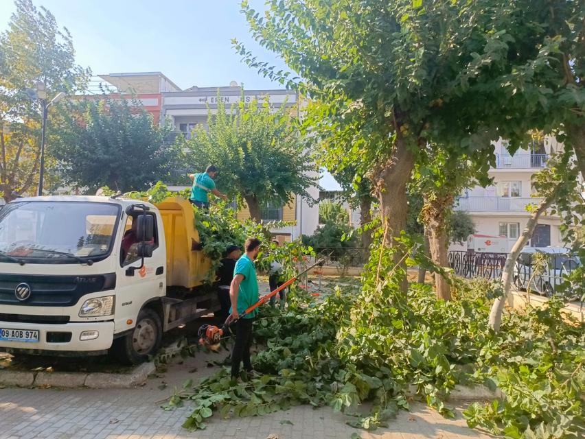 EFELER'DE AĞAÇ BUDAMA ÇALIŞMALARI SÜRÜYOR