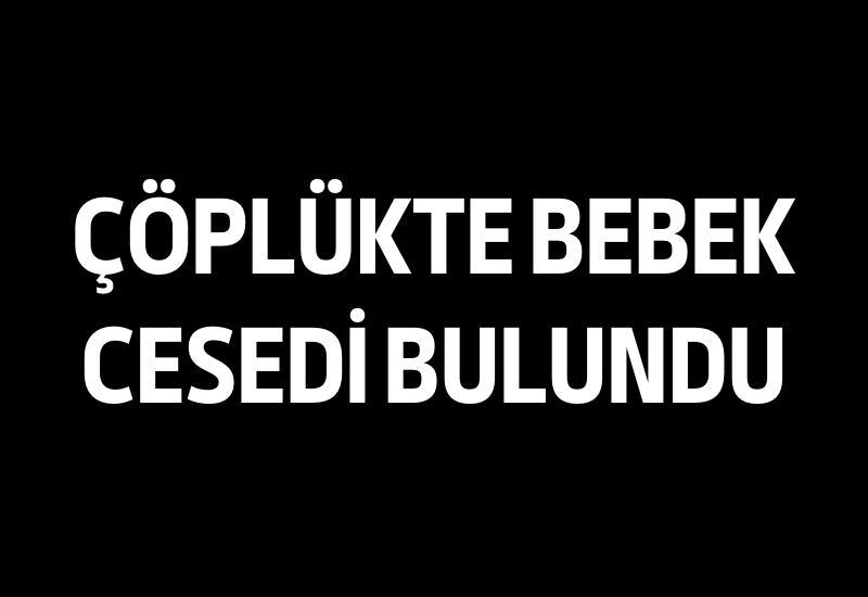 Çöplükte bebek cesedi bulundu