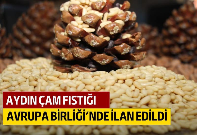 Aydın Çam Fıstığı Avrupa Birliği’nde ilan edildi