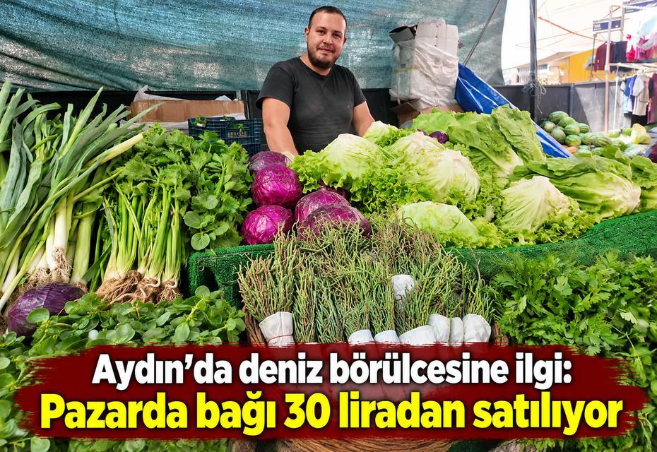 Aydın’da deniz börülcesine ilgi: Pazarda bağı 30 liradan satılıyor
