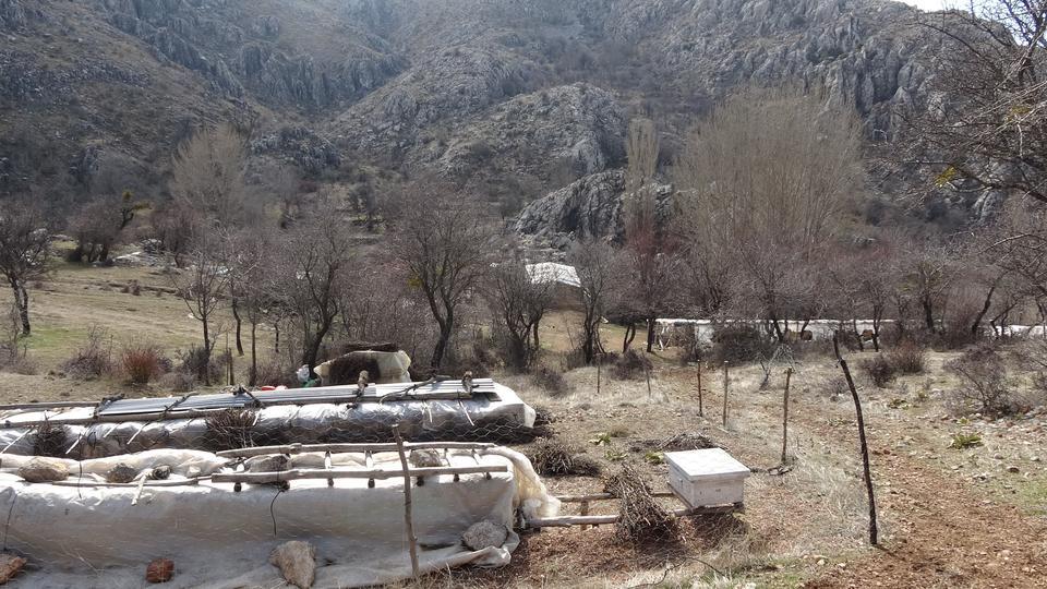 BURDUR'DA ÇOBAN AĞILDA ÖLÜ BULUNDU