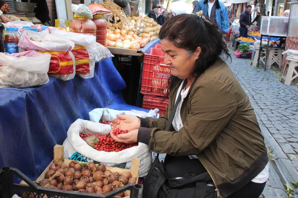 DİKENLERİN ARASINDA ZAHMETLE TOPLANAN KUŞBURNU, TEZGAHLARDA YERİNİ ALDI DAĞLARDAN GELEN ŞİFA KAYNAĞI KUŞBURNUNA RAĞBET ARTTI