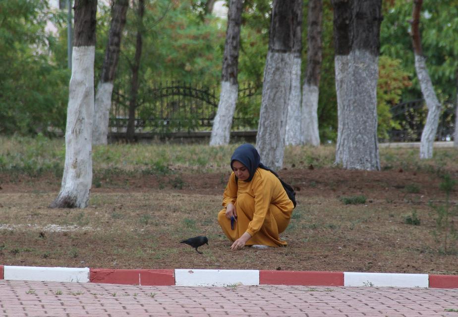 BU KARGA HER GÜN MESAİ YAPIYOR SİVAS SAĞLIK İL MÜDÜRLÜĞÜNÜN MASKOTU HALİNE GELEN KARGA, KURUMA PERSONELLE GELİP PERSONELLE AYRILIYOR