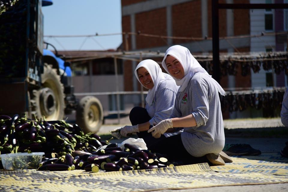 PATLICAN VADİSİ'NDEN DÜNYA SOFRALARINA