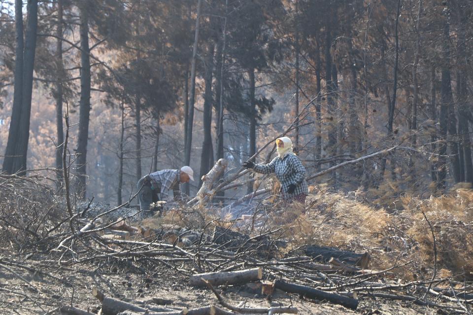 BOZDOĞAN'DA YANAN ORMANLIK ALANDA İNCELEMELERDE BULUNULDU