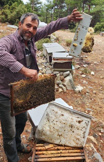 ATBURGAZI MAHALLESİ'NDE ARILI KOVAN TESPİTİ YAPILDI