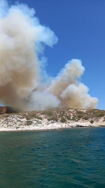 ÇEŞME'DEKİ ORMAN YANGININA HAVADAN VE KARADAN MÜDAHALE