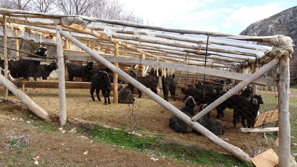 BURDUR'DA ÇOBAN AĞILDA ÖLÜ BULUNDU