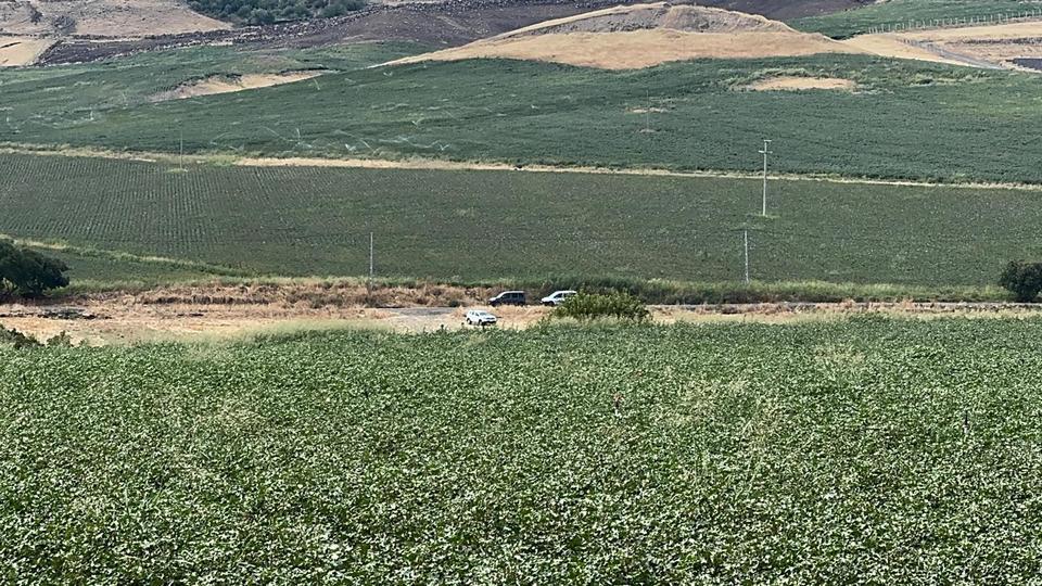 Cesedi bulunan Narin olayında 21 kişi gözaltına alındı