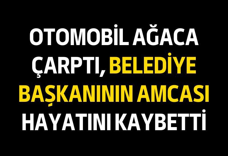 Otomobil ağaca çarptı, belediye başkanının amcası hayatını kaybetti